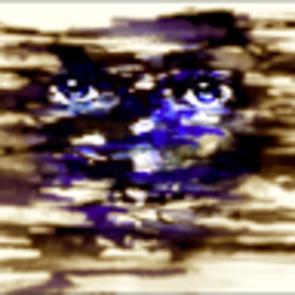 Meet your Posher, Thomi